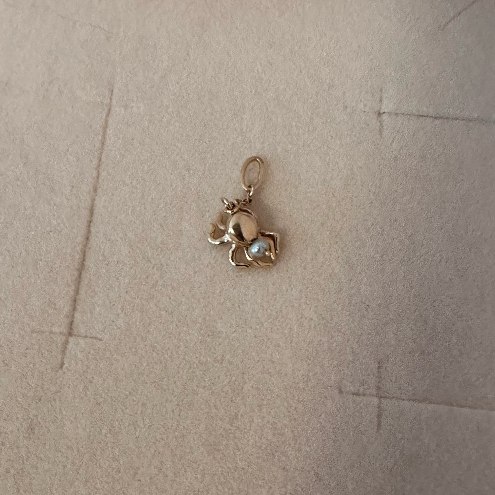 Catbird spider charm - Picture 2 of 4